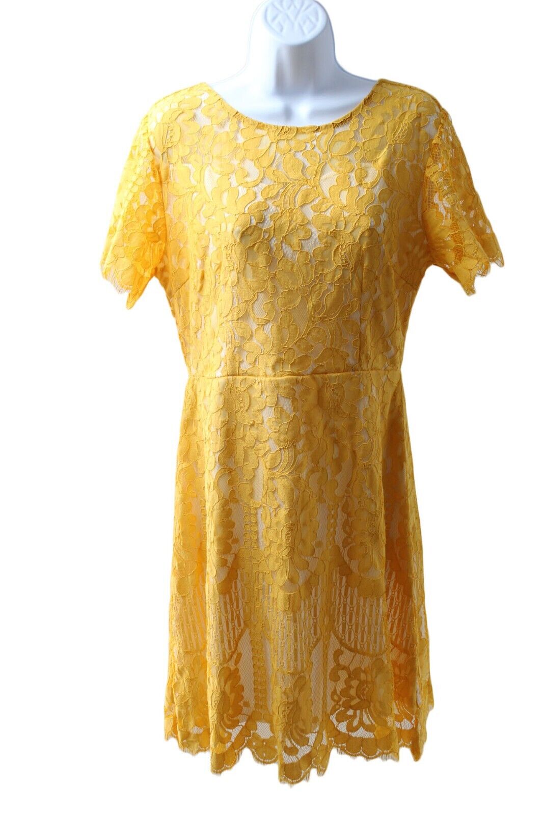 Women Dress MSLG Missy Women Yellow Lace Short Sleeve Dress Size Large