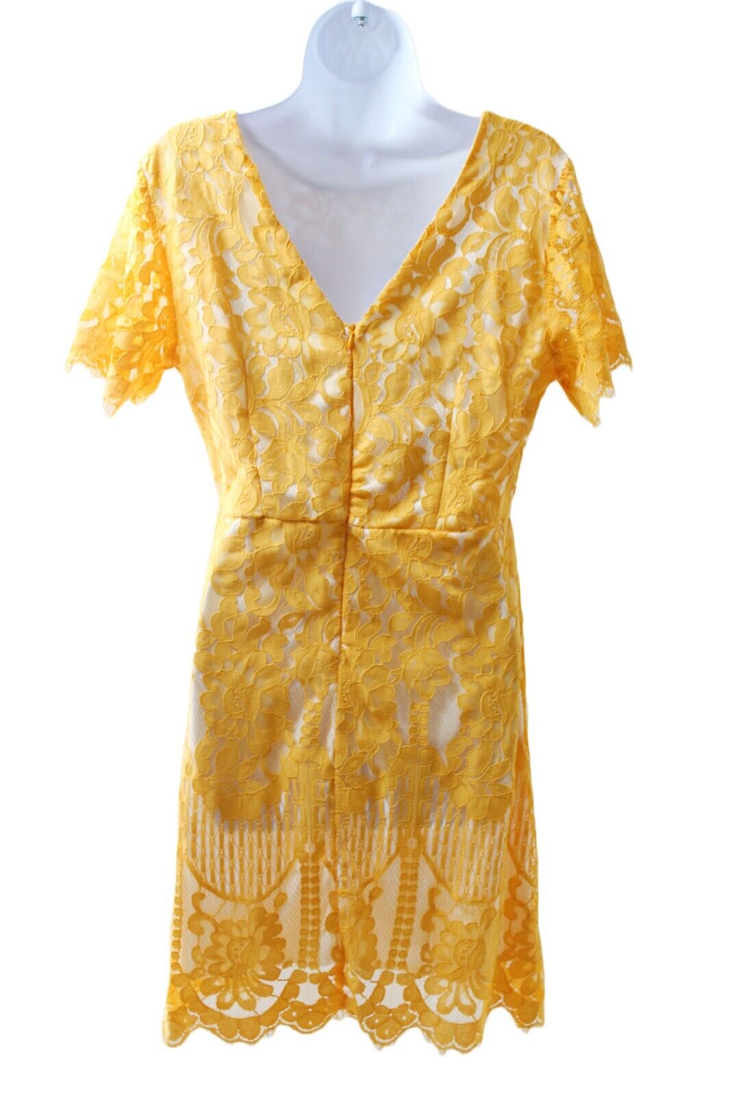 Women Dress MSLG Missy Women Yellow Lace Short Sleeve Dress Size Large